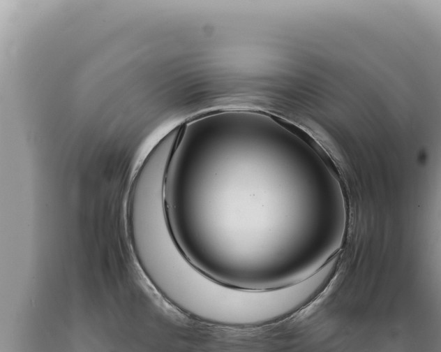 X0000089371196200706221214