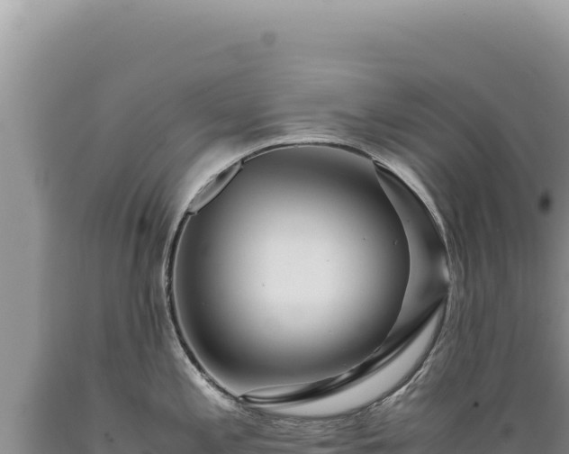 X0000089371197200706221214