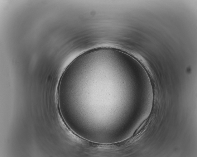 X0000089371199200706221214