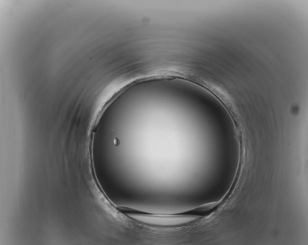 X0000089371200200706221214