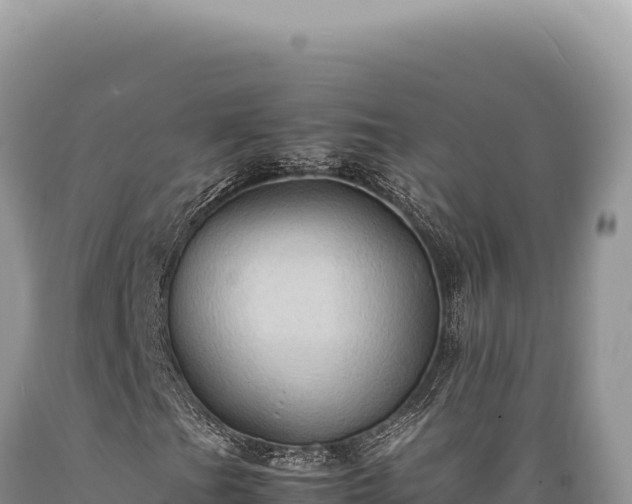 X0000089371201200706221214