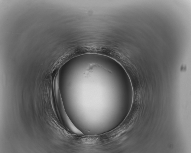 X0000089371202200706221214
