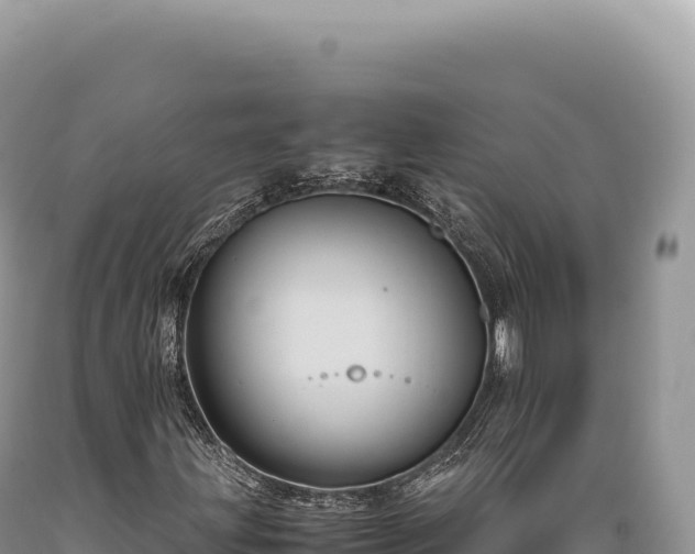 X0000089371203200706221214