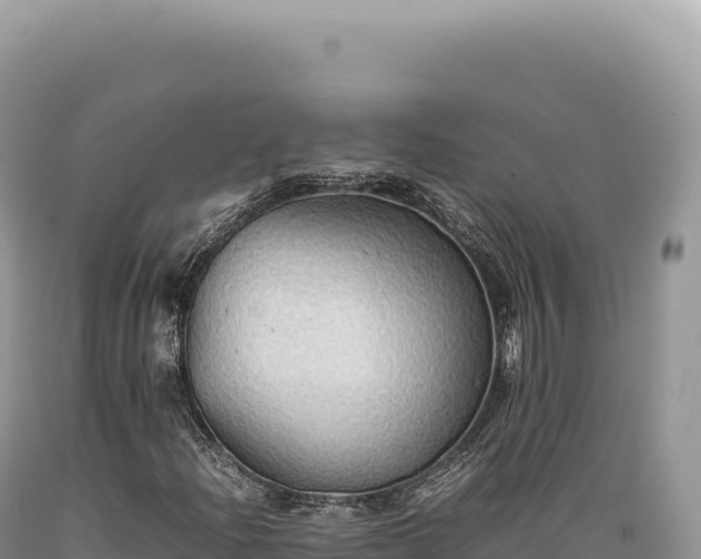 X0000089371204200706221214