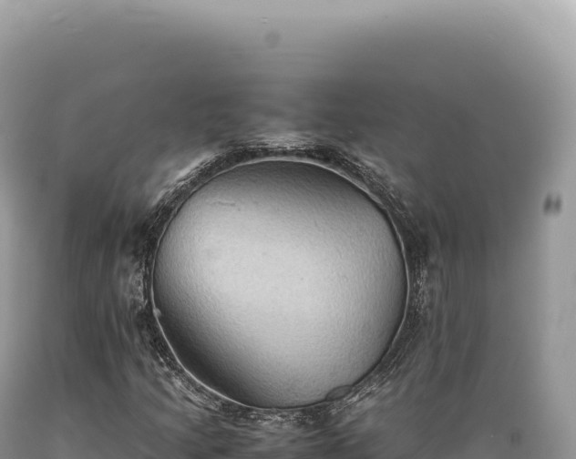 X0000089371205200706221214