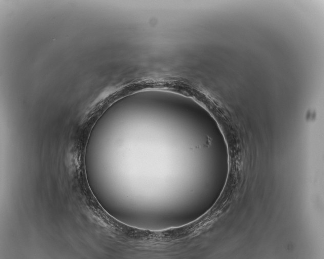 X0000089371206200706221214