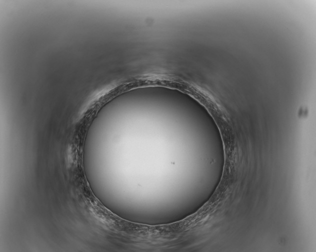 X0000089371207200706221214