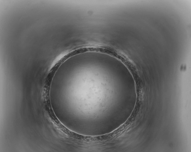 X0000089371208200706221214