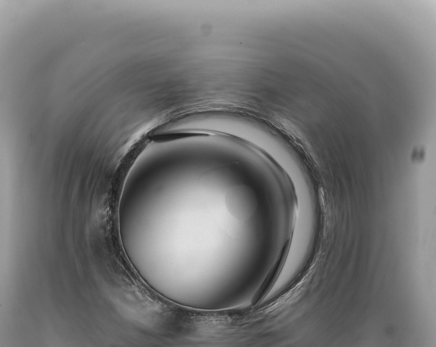 X0000089371210200706221214