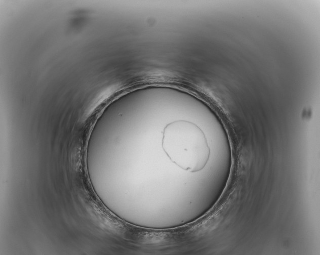 X0000089371211200706221214