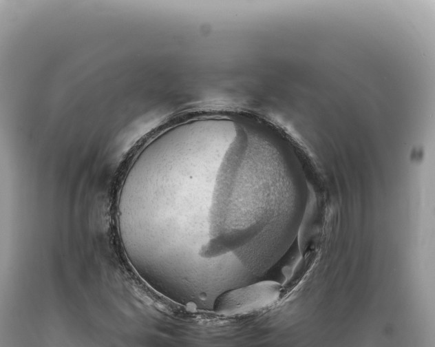 X0000089371213200706221214