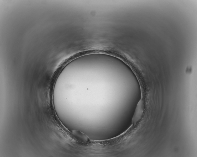 X0000089371214200706221214