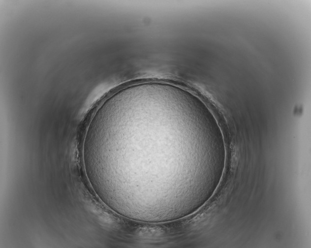 X0000089371215200706221214