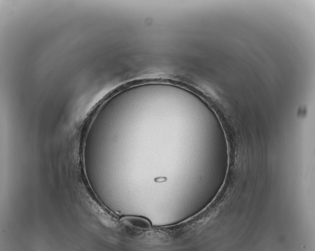 X0000089371216200706221214