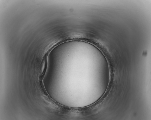 X0000089371217200706221214