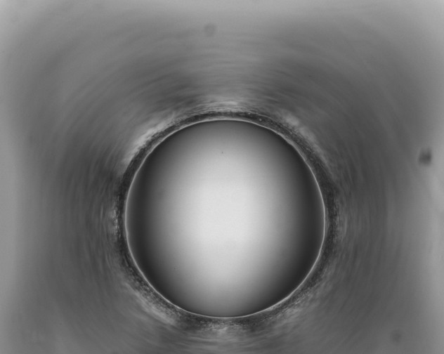 X0000089371218200706221214