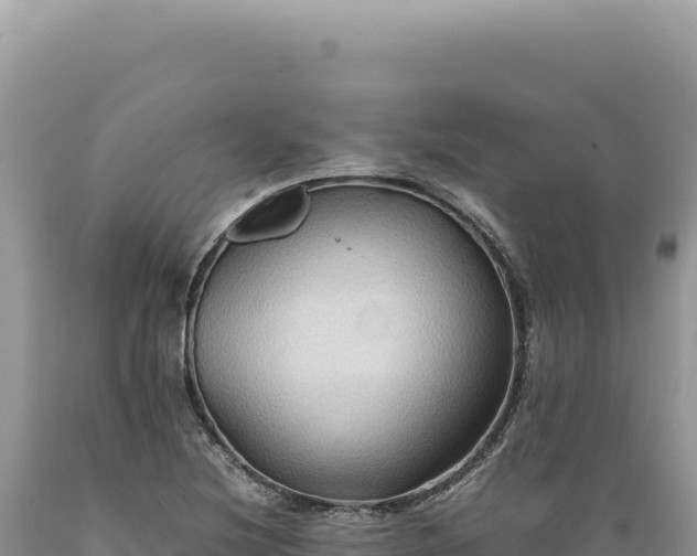 X0000089371220200706221214