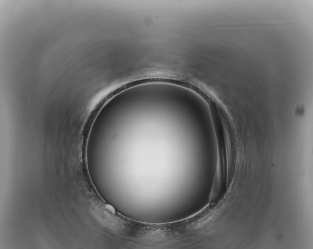 X0000089371222200706221214