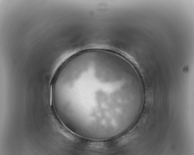 X0000089371223200706221214