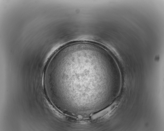 X0000089371224200706221214