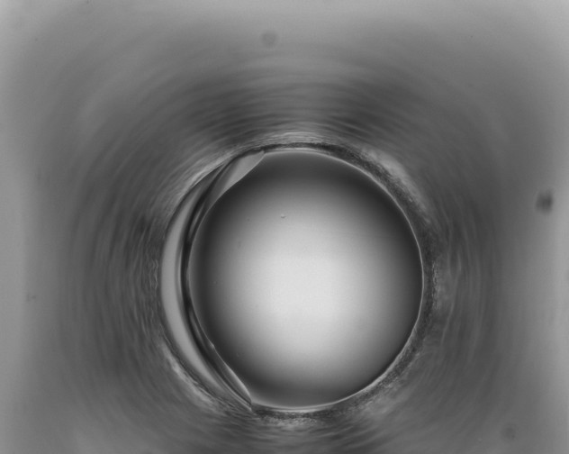 X0000089371225200706221214
