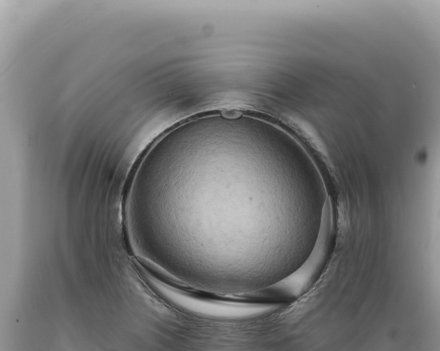 X0000089371226200706221214