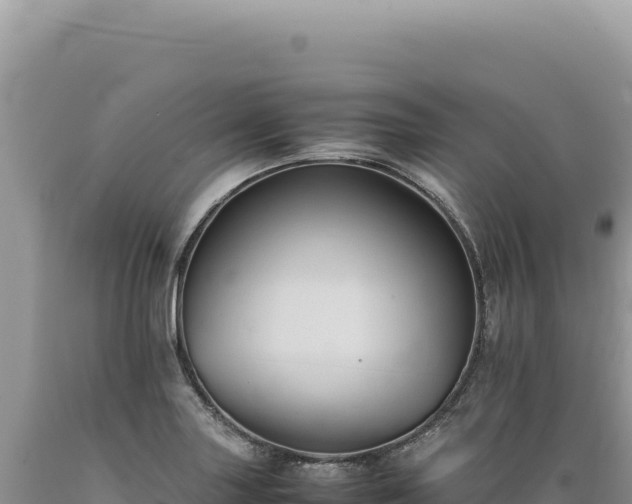 X0000089371227200706221214