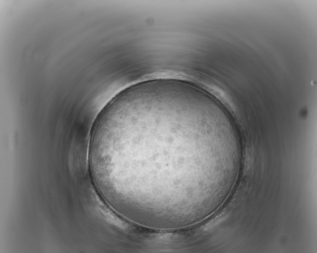 X0000089371228200706221214