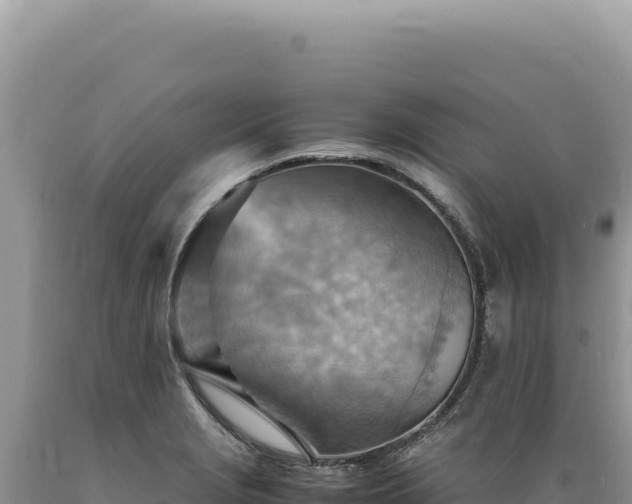 X0000089371229200706221214