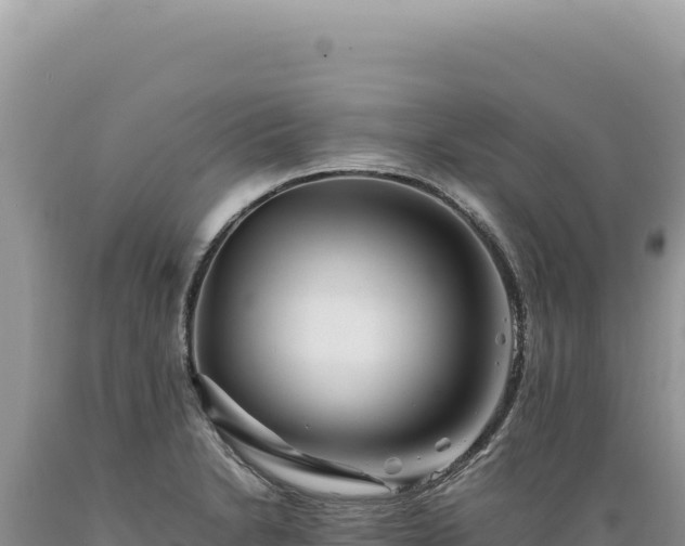 X0000089371230200706221214