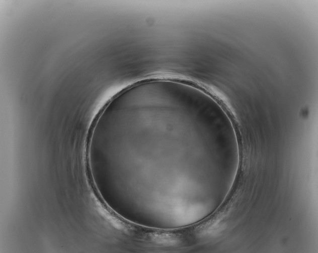 X0000089371231200706221214