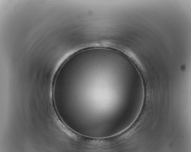 X0000089371232200706221214