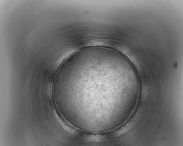 X0000089371233200706221214