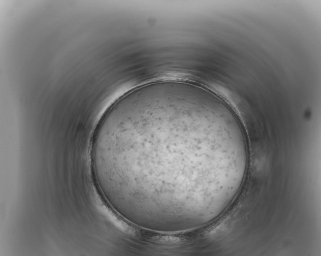 X0000089371235200706221214