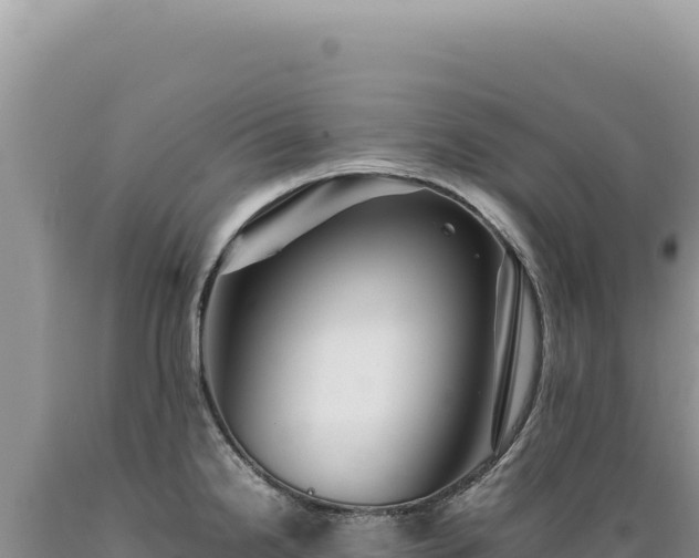 X0000089371238200706221214