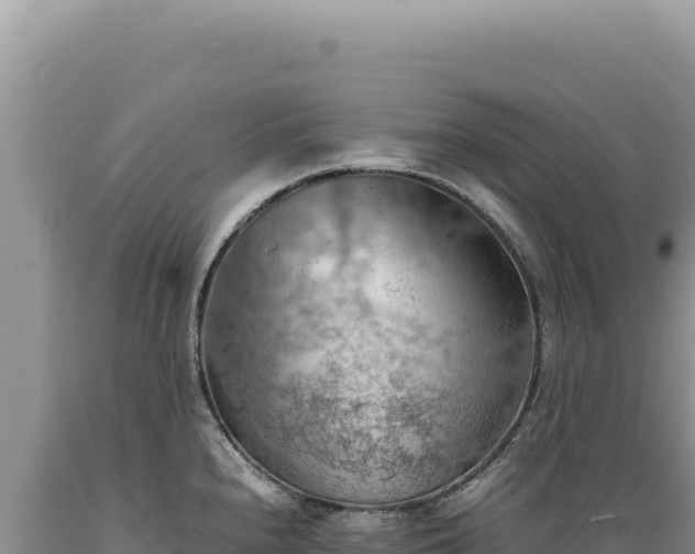 X0000089371240200706221214