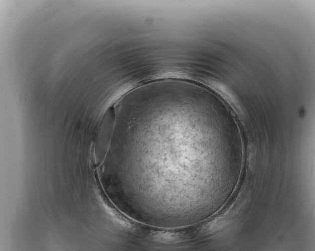 X0000089371241200706221214
