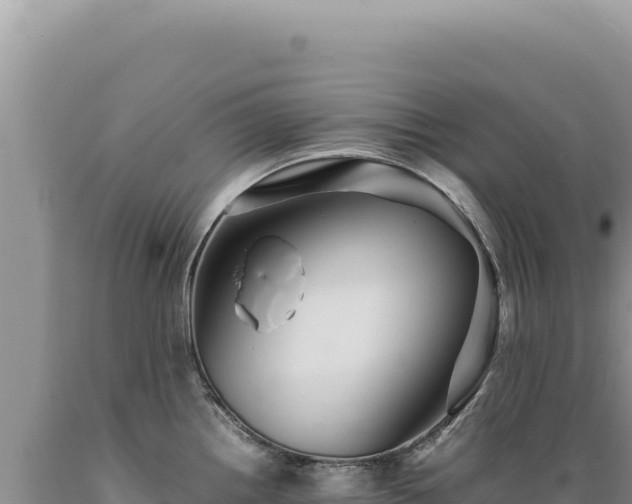 X0000089371242200706221214