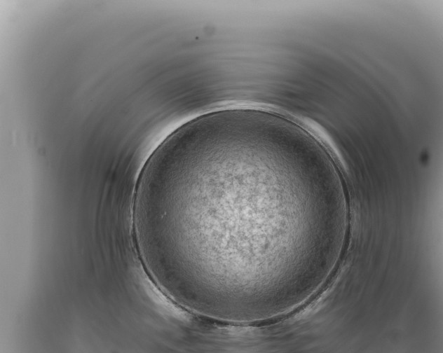 X0000089371244200706221214