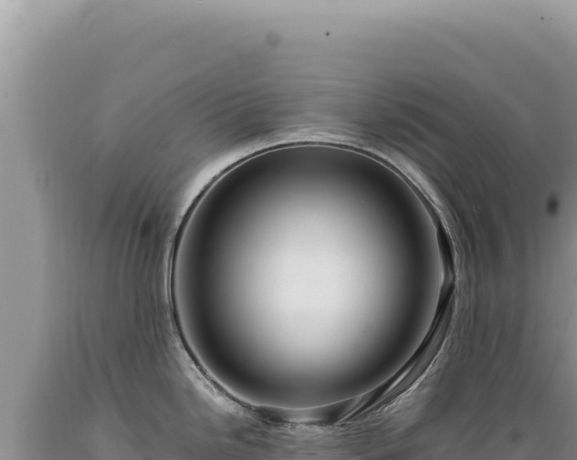 X0000089371246200706221214