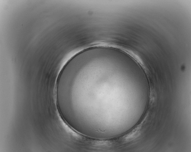 X0000089371247200706221214