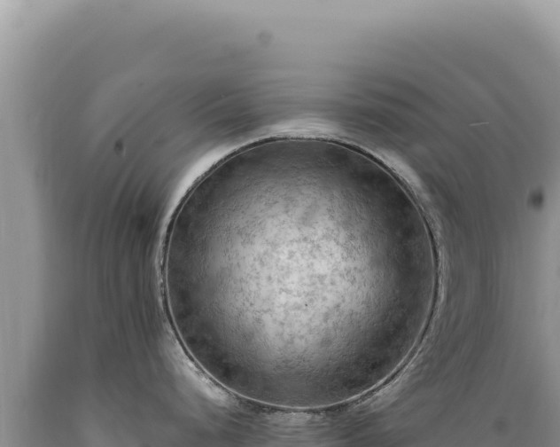 X0000089371248200706221214