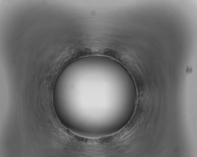 X0000089371249200706221214
