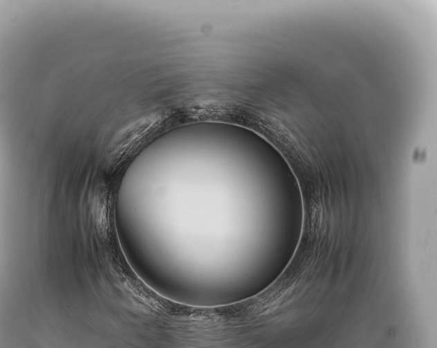 X0000089371250200706221214