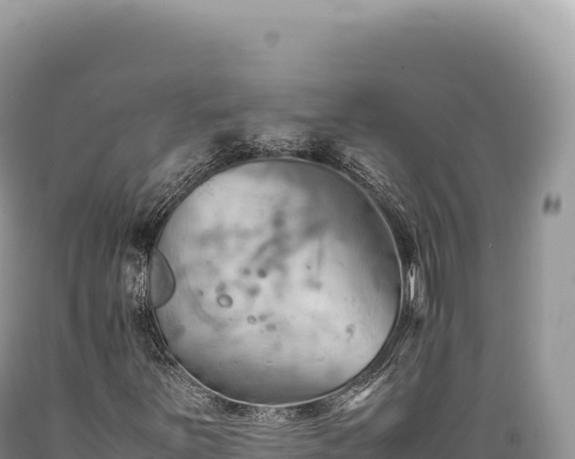 X0000089371251200706221214