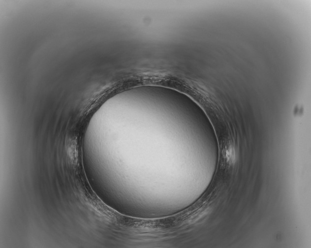 X0000089371252200706221214