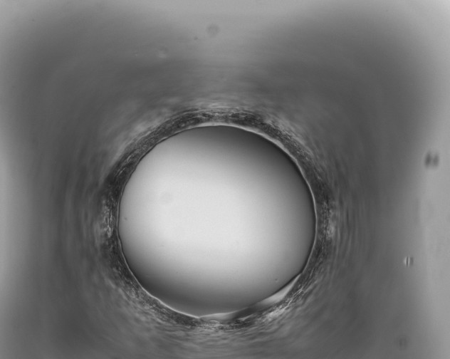 X0000089371253200706221214
