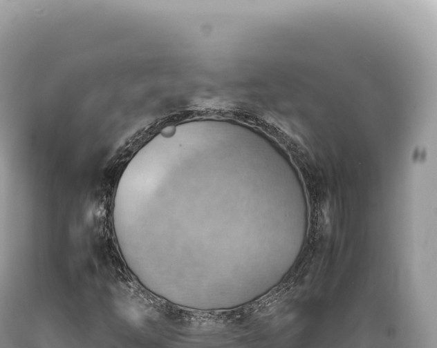X0000089371254200706221214