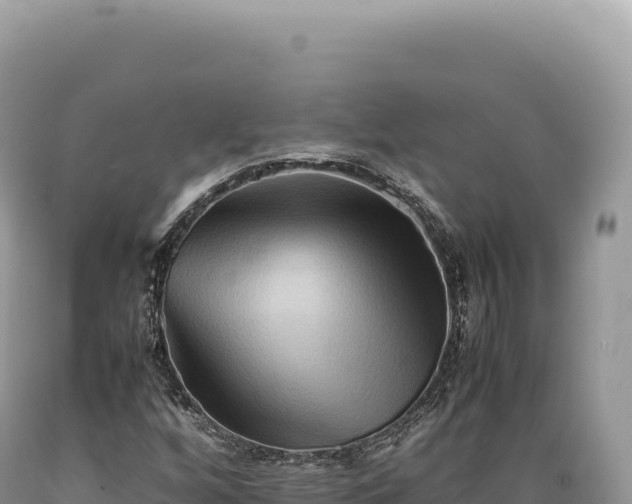 X0000089371256200706221213