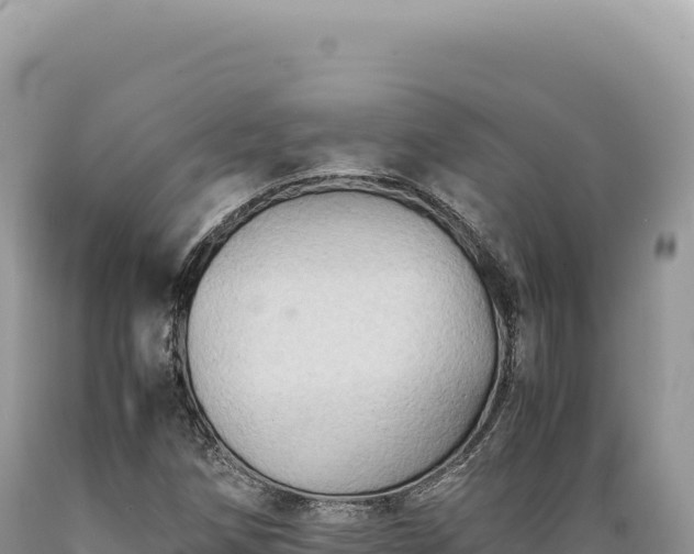 X0000089371258200706221213